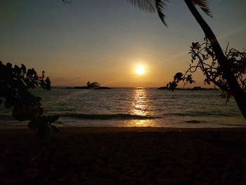 Drake Bay Bioluminescent Tour photo 2