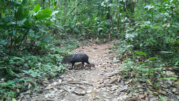 San Pedrillo Station Corcovado National Park One Day Tour photo 3