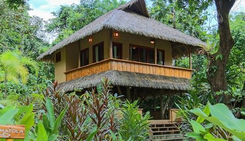 Copa del Árbol Costa Rica