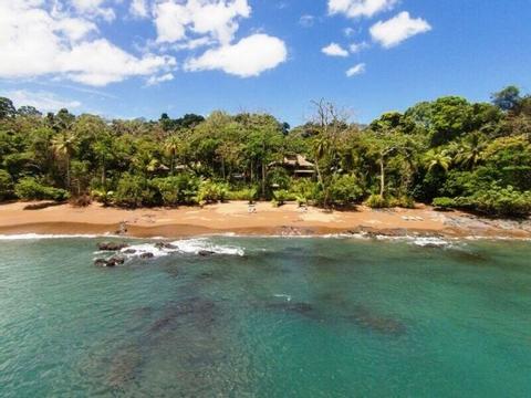 Copa del Árbol Costa Rica