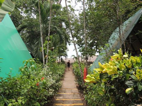 Corcovado Tent Camp Costa Rica