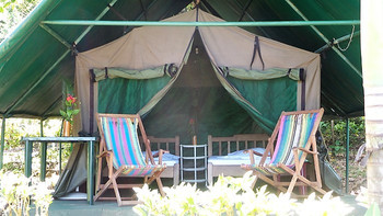 Corcovado Tent Camp photo 4
