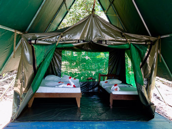 Corcovado Tent Camp photo 5