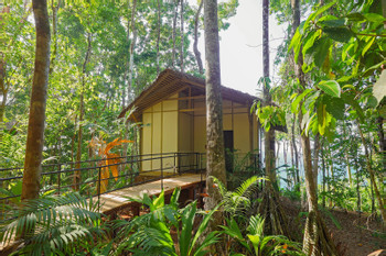Corcovado Wilderness Lodge photo 2