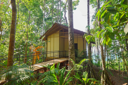 Corcovado Wilderness Lodge