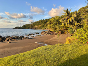 Corcovado Wilderness Lodge photo 4