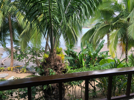 Hotel Jinetes de Osa