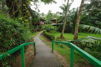 Poor Mans Paradise photo 4