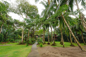 Poor Mans Paradise photo 3