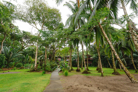 Poor Mans Paradise photo 3