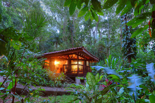 Playa Nicuesa Rainforest Lodge photo