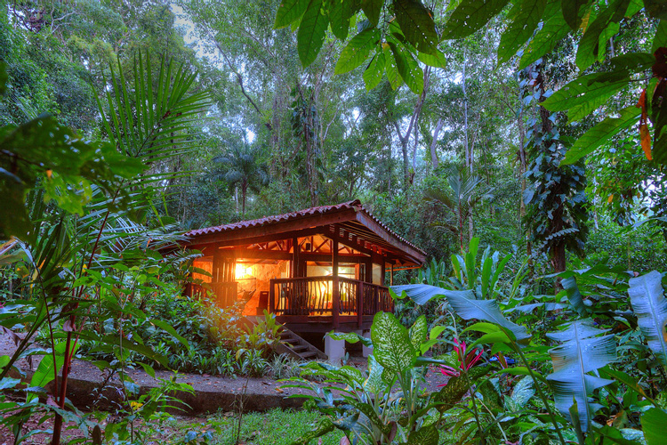Playa Nicuesa Rainforest Lodge photo