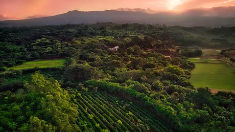 Finca Rosa Blanca Coffee Plantation and Inn Costa Rica
