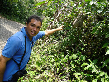 Carara National Park & Bird Watching photo 2
