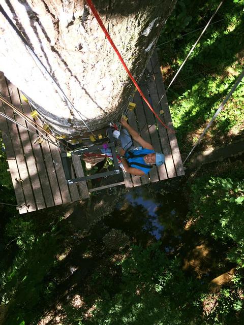 High Ropes Course & Ceiba Rappelling Costa Rica