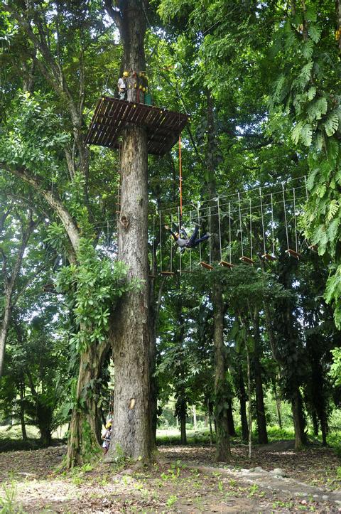 High Ropes Course and Quick Jump Tour