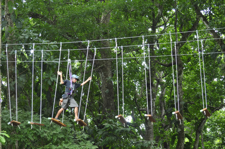 Tour de Salto Rápido y Campo de Cuerdas Altas photo 2