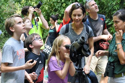 Guided Tour of Manuel Antonio National Park Costa Rica