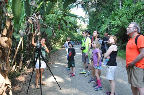 Guided Tour of Manuel Antonio National Park Costa Rica