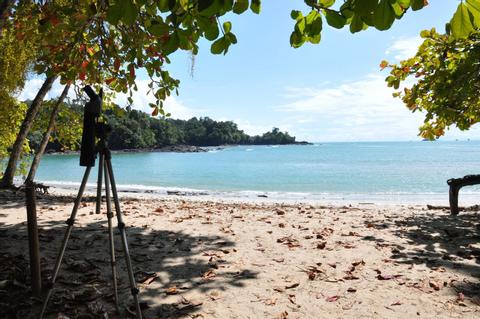 Guided Tour of Manuel Antonio National Park Costa Rica