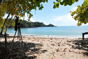 Guided Tour of Manuel Antonio National Park photo 3