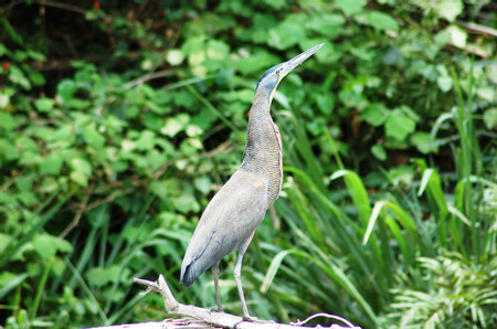 Llanos de Cortes Waterfall & Safari Float photo 2