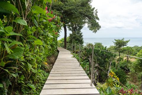 Vista de Olas Costa Rica