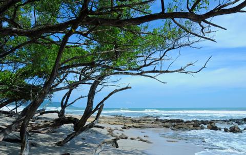 Mal Pais- Santa Teresa Costa Rica