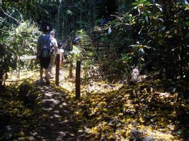 Carara National Park (from Manuel Antonio) photo