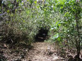 Carara National Park (from Manuel Antonio) photo 4