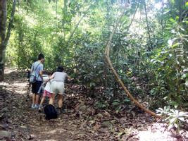 Carara National Park (from Manuel Antonio) photo 3