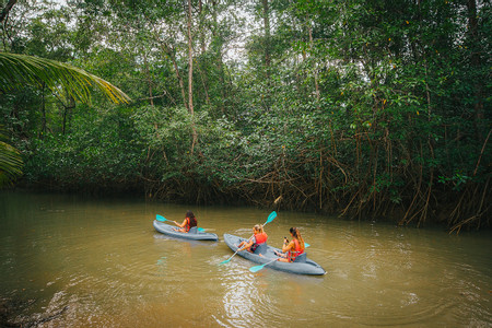 Damas Island Mangrove Kayak Estuary photo 2