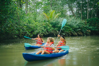 Damas Island Mangrove Kayak Estuary photo 4