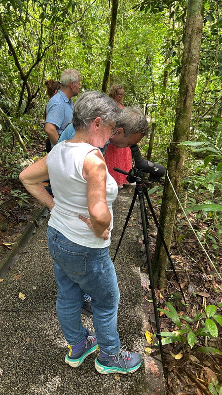 Manuel Antonio National Park and Beach Day photo 2