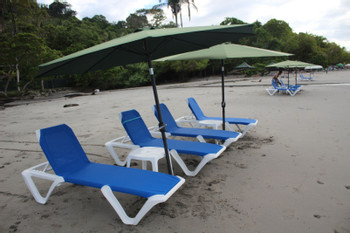 Manuel Antonio National Park & Surf & Beach Day photo 4