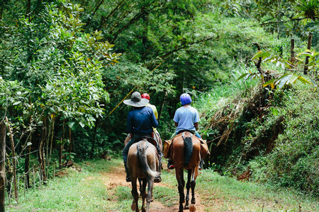 Tocori Waterfalls Horseback Riding photo 2