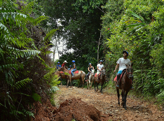 Tocori Waterfalls Horseback Riding photo