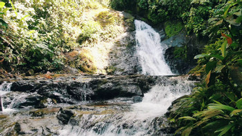 Tocori Waterfalls Horseback Riding photo 5