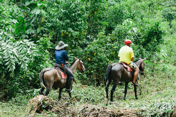 Tocori Waterfalls Horseback Riding photo 3