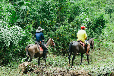 Tocori Waterfalls Horseback Riding photo 3