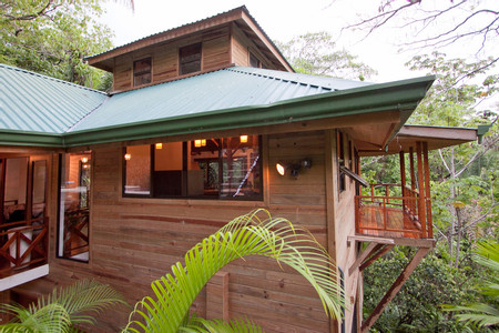 Bali Tree House
