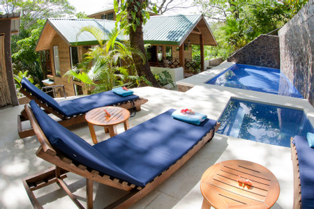 Bali Tree House photo 3