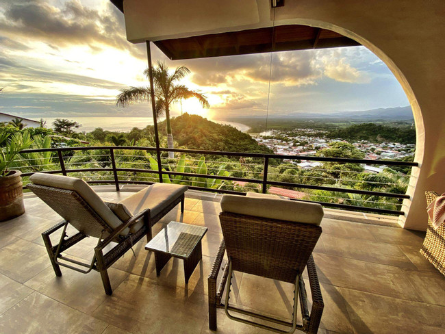 Casa Macaw photo