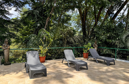 Casa Paraíso en la Jungla