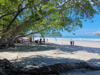 Jungle Beach Hotel photo 4
