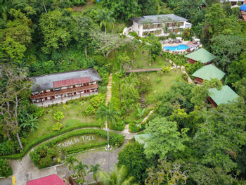Tabulia Tree Hotel  photo 3