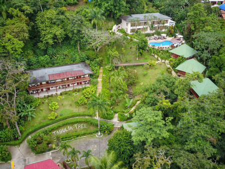 Tabulia Tree Hotel  photo 3
