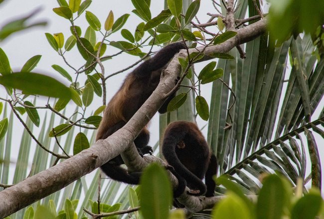 Villas Nicholas Photo