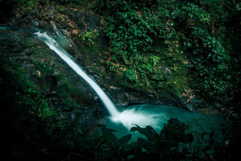 Waterfall FullDay Tour — Manuel Antonio, Costa Rica