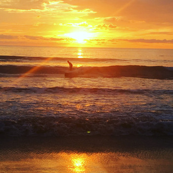 Costa Rica Surf Lessons